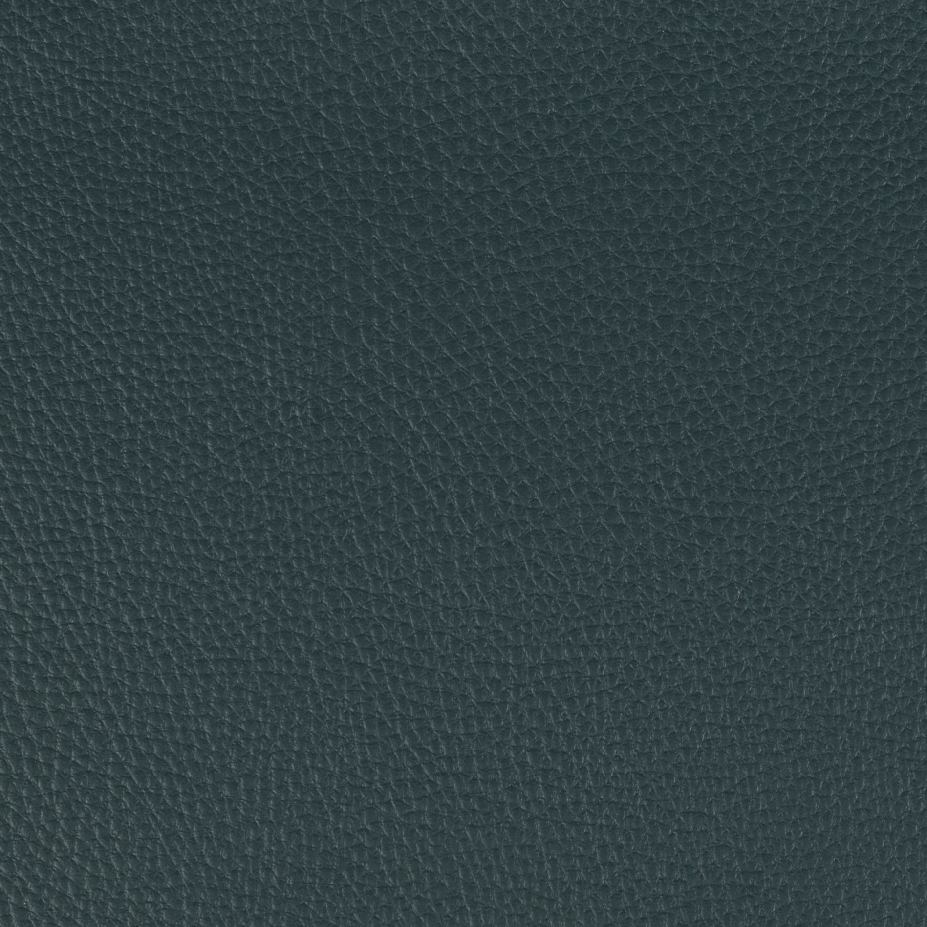 Verde Musgo